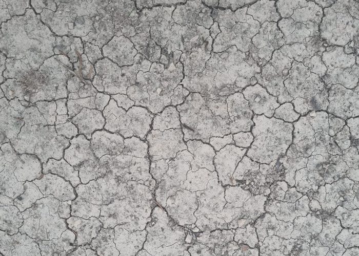 texture terre - collaborations complémentaires